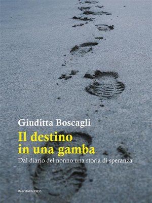 cover image of Il destino in una gamba
